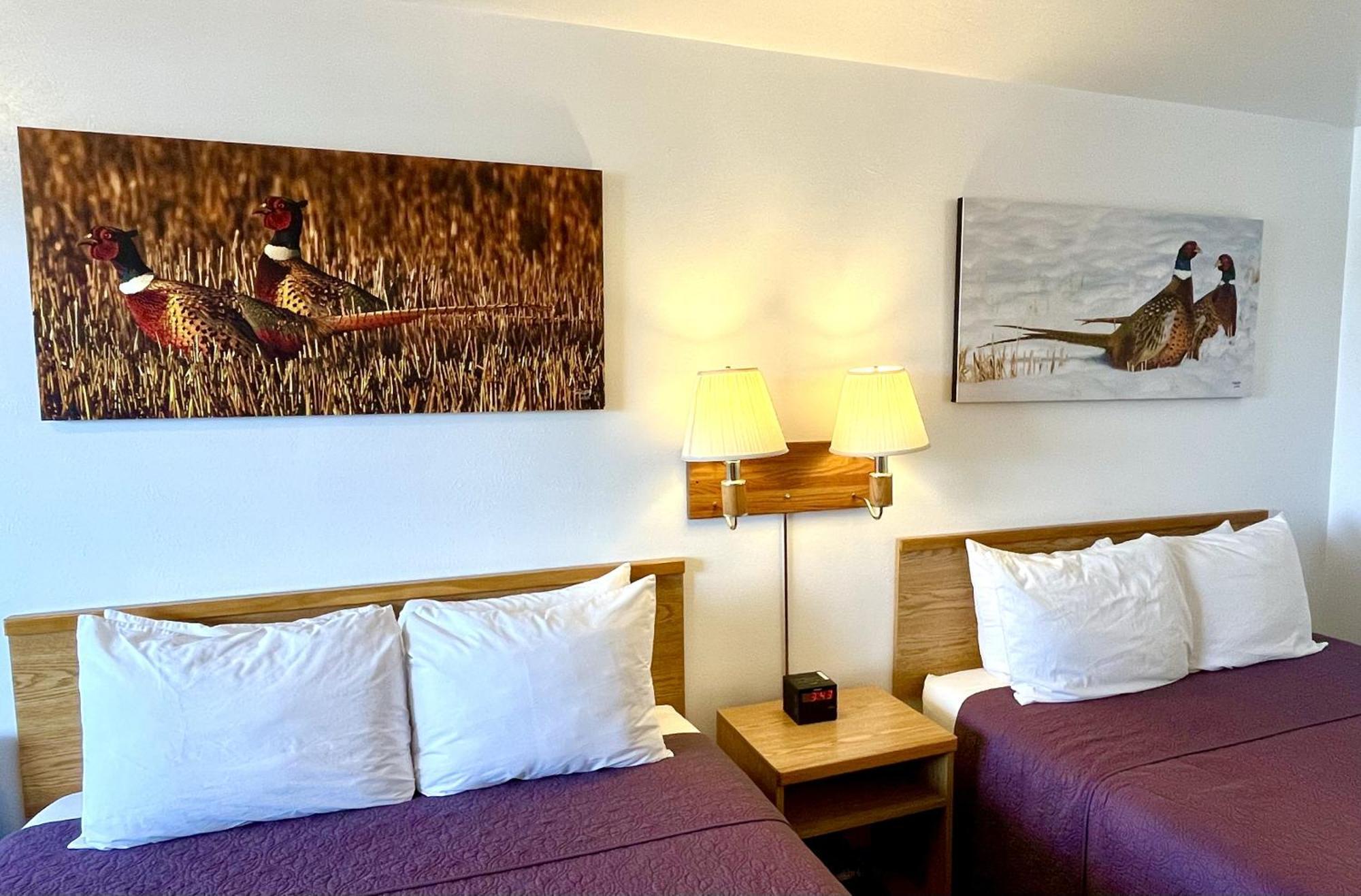 Red Bear Inn Ennis Kültér fotó